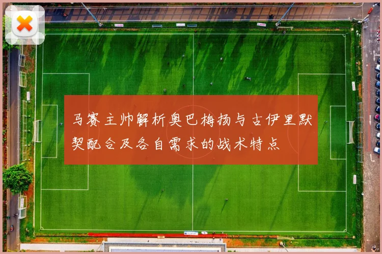 马赛主帅解析奥巴梅扬与古伊里默契配合及各自需求的战术特点