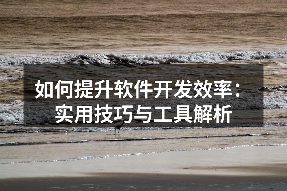 如何提升软件开发效率：实用技巧与工具解析